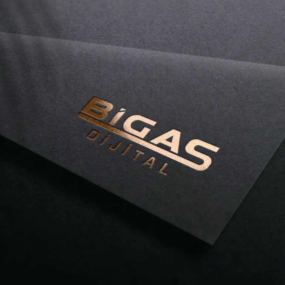 portfolio-bigas2 (1)
